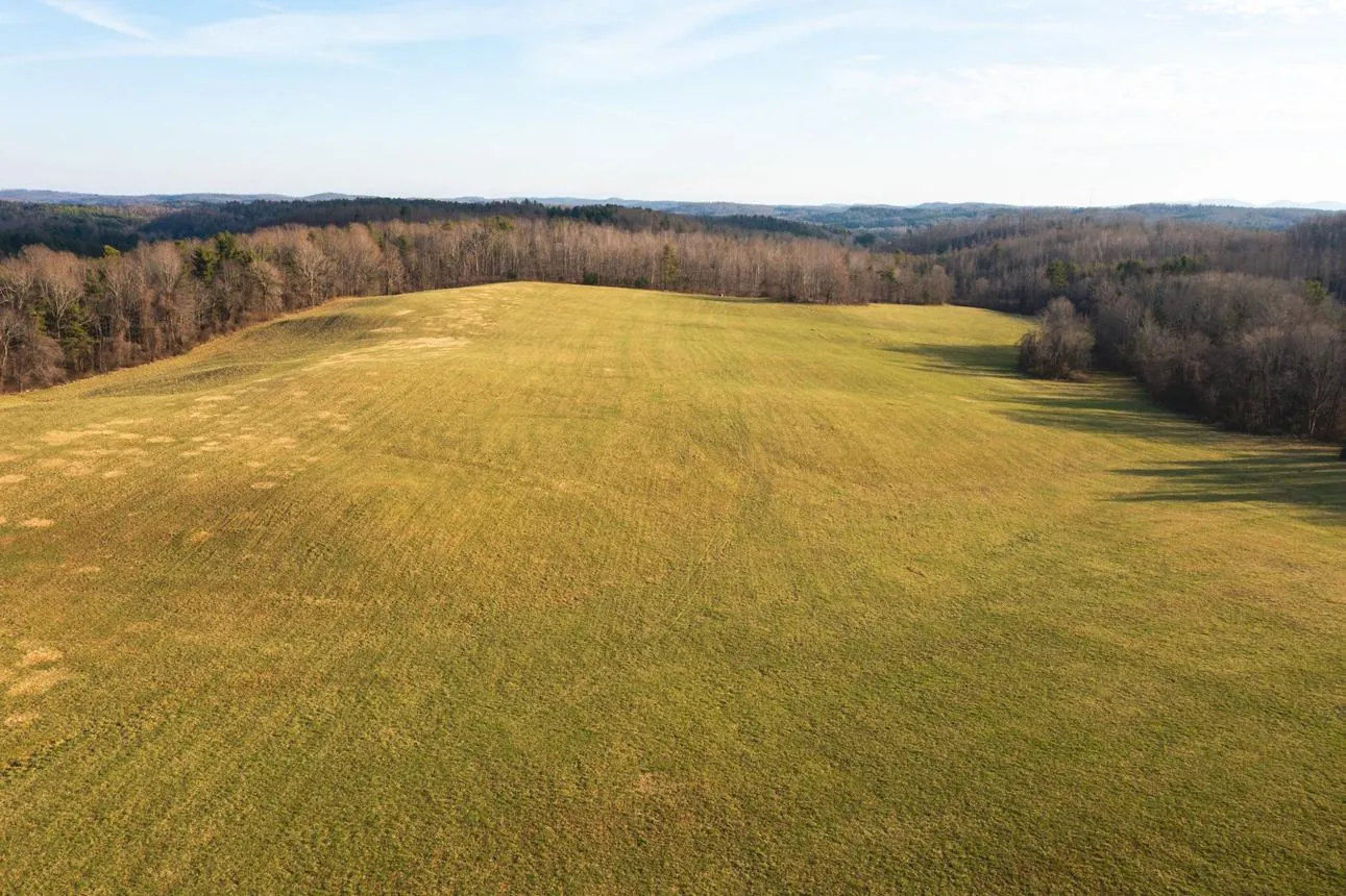 Open grassy field with trees along the horizon